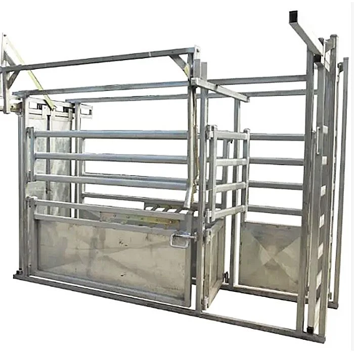 Sheep Squeeze Chute factory